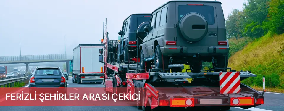 Ferizli İlçemi Şehirler Arası Çekici